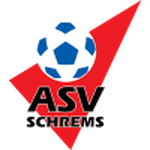 Logo Schrems