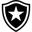 Botafogo U20