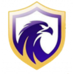 Logo Falcon