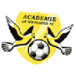 Logo Flambeau du Centre