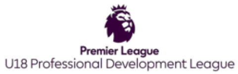 Logo England - Professional Development League