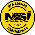 Logo NSÍ II