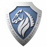 Logo Merani Tbilisi