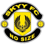 Logo Skyy