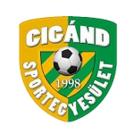 Logo Cigand SE