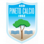 Logo Pineto