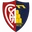 Montevarchi Calcio