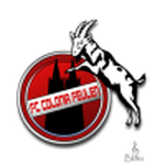 Logo Feulen