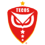 Logo Tecos