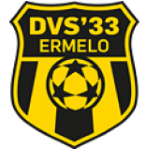 Logo DVS 33 Ermelo