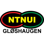 Logo NTNUI