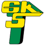 Logo Górnik Łęczna W