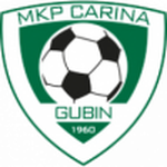 Logo Carina Gubin