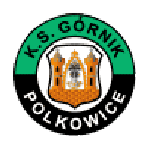 Logo Górnik Polkowice