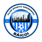 Logo Baicoi