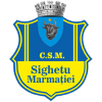 Logo Sighetu Marmaţiei