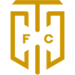 Logo Cape Town City
