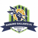 Logo Marumo Gallants U23