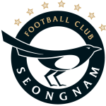 Logo Seongnam FC