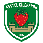 Logo Kestel Çilek