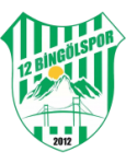 Logo 12 Bingölspor