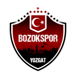 Logo Yozgat Bld Bozokspor