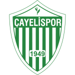 Logo Çayelispor