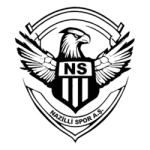 Logo Nazilli Spor
