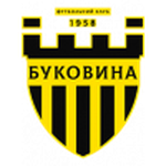Logo Bukovyna