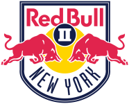 Logo New York RB II