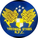 Logo Treowen Stars