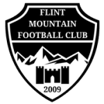 Logo Flint Mountain