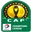 World - CAF Champions League