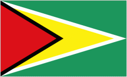 Logo Guyana W U17