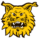 Logo Ilves II