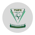 Logo Triangle United